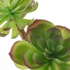 Best deal 🤩 Assorted Red Tipped Succulent Pick by Ashland® ❤️ -Ashland Sale Store 10229986 20