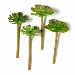 Best deal 🤩 Assorted Red Tipped Succulent Pick by Ashland® ❤️