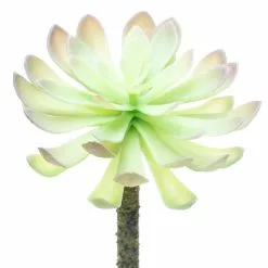 Budget ⌛ 12 Pack: Assorted Red Tipped Succulent Pick by Ashland® ⭐ -Ashland Sale Store 10229986 3