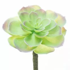 Budget ⌛ 12 Pack: Assorted Red Tipped Succulent Pick by Ashland® ⭐ -Ashland Sale Store 10229986 4