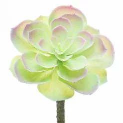Budget ⌛ 12 Pack: Assorted Red Tipped Succulent Pick by Ashland® ⭐ -Ashland Sale Store 10229986 5