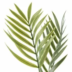 New ⌛ Tropical Palm Stem by Ashland® ⭐ -Ashland Sale Store 10230859 20