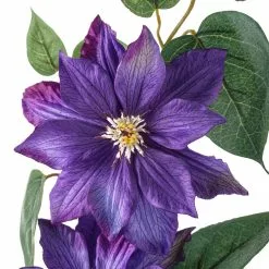 Cheap ๐ Purple Tropical Clematis Stem by Ashland® โญ 7 Cheap ๐ Purple Tropical Clematis Stem by Ashland® โญ -Ashland Sale Store 10230902 20