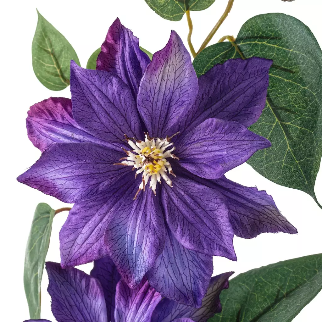 Cheap ๐ Purple Tropical Clematis Stem by Ashland® โญ 5 Cheap ๐ Purple Tropical Clematis Stem by Ashland® โญ - Image 3