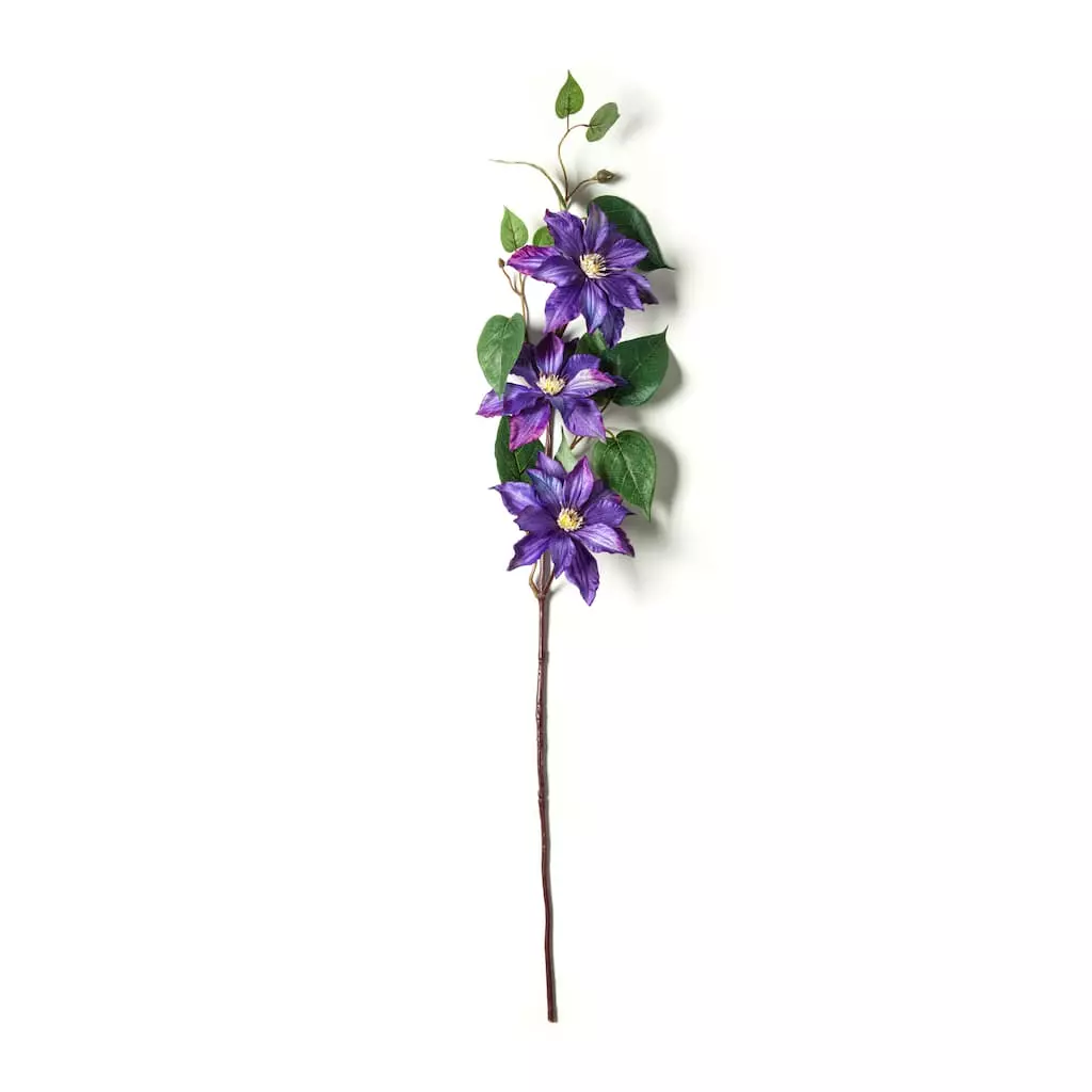 Cheap ๐ Purple Tropical Clematis Stem by Ashland® โญ 3 Cheap ๐ Purple Tropical Clematis Stem by Ashland® โญ