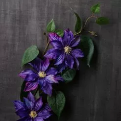 Cheap ๐ Purple Tropical Clematis Stem by Ashland® โญ 6 Cheap ๐ Purple Tropical Clematis Stem by Ashland® โญ -Ashland Sale Store 10230902 22
