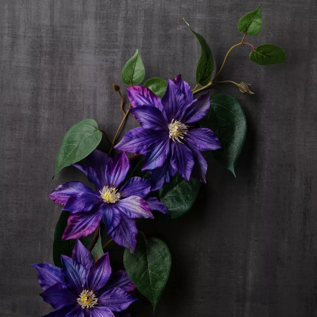 Cheap ๐ Purple Tropical Clematis Stem by Ashland® โญ 4 Cheap ๐ Purple Tropical Clematis Stem by Ashland® โญ - Image 2