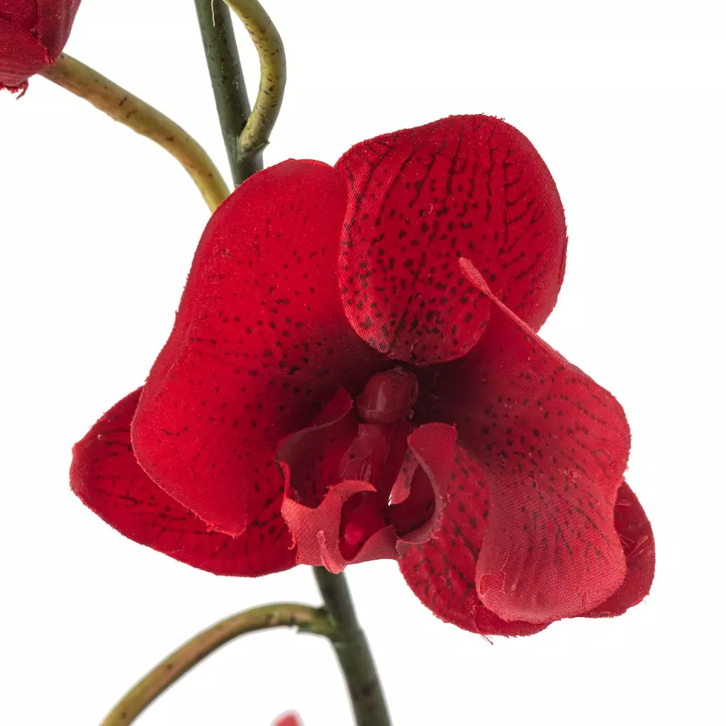 Promo ⭐ Red Tropical Orchid Stem by Ashland® ❤️ 5 Promo ⭐ Red Tropical Orchid Stem by Ashland® ❤️ - Image 3