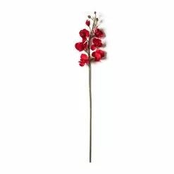 Promo ⭐ Red Tropical Orchid Stem by Ashland® ❤️