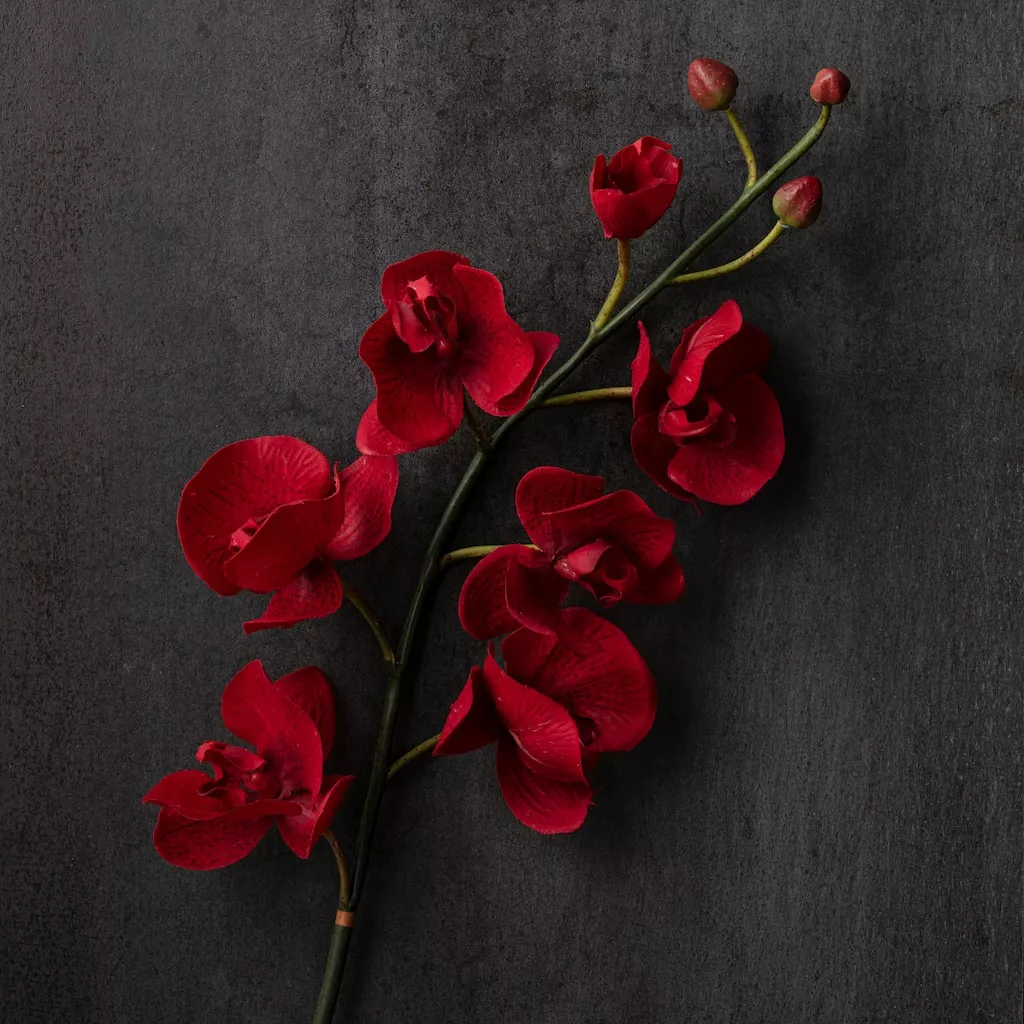 Promo ⭐ Red Tropical Orchid Stem by Ashland® ❤️ 4 Promo ⭐ Red Tropical Orchid Stem by Ashland® ❤️ - Image 2