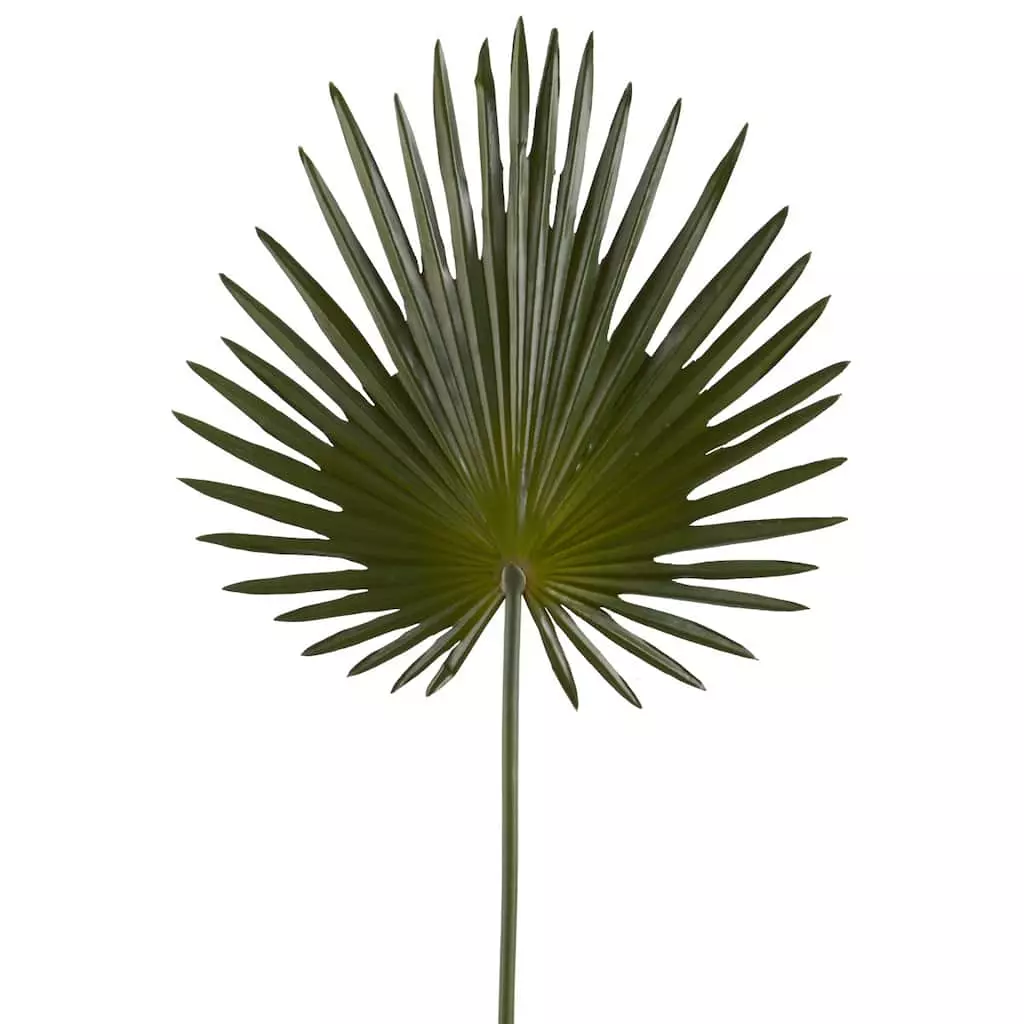 Flash Sale ✔️ 6 Pack: Green Fan Palm Stem by Ashland® ✔️ 3 Flash Sale ✔️ 6 Pack: Green Fan Palm Stem by Ashland® ✔️
