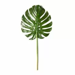 Brand new ⌛ Tropical Monstera Leaf Stem by Ashland® 😍