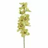 Cheapest 😍 8 Pack: Pale Green Boat Orchid Stem by Ashland® 💯 -Ashland Sale Store 10230928