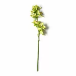 Outlet ⭐ Tropical Cymbidium Stem by Ashland® ⌛