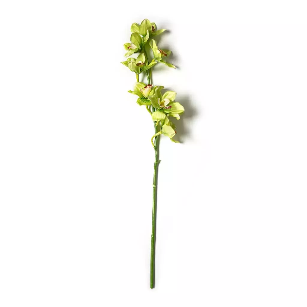 Outlet ⭐ Tropical Cymbidium Stem by Ashland® ⌛ 3 Outlet ⭐ Tropical Cymbidium Stem by Ashland® ⌛