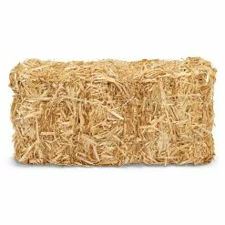 Best Pirce 🌟 Decorative Straw Bale by Ashland® ⌛