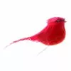 Cheapest ✔️ Small Cardinal Bird by Ashland® 🎉