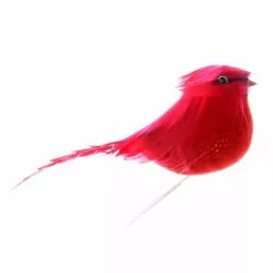 Cheapest ✔️ Small Cardinal Bird by Ashland® 🎉