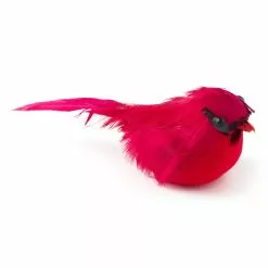 Cheapest ✔️ Small Cardinal Bird by Ashland® 🎉 -Ashland Sale Store 10239959 21