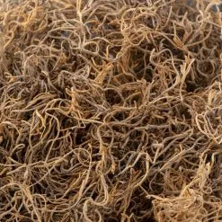 Wholesale 💯 Natural Spanish Moss by Ashland® 🎉 -Ashland Sale Store 10254250 22