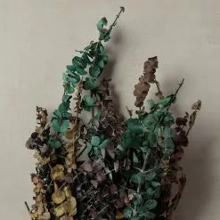 New ⭐ Ashland® Eucalyptus Bunch, 8 oz Tri-Colored 🌟 -Ashland Sale Store 10259689 25