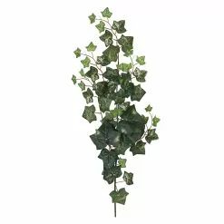 Discount 🛒 12 Pack: Green Silk Ivy Spray by Ashland® ⭐