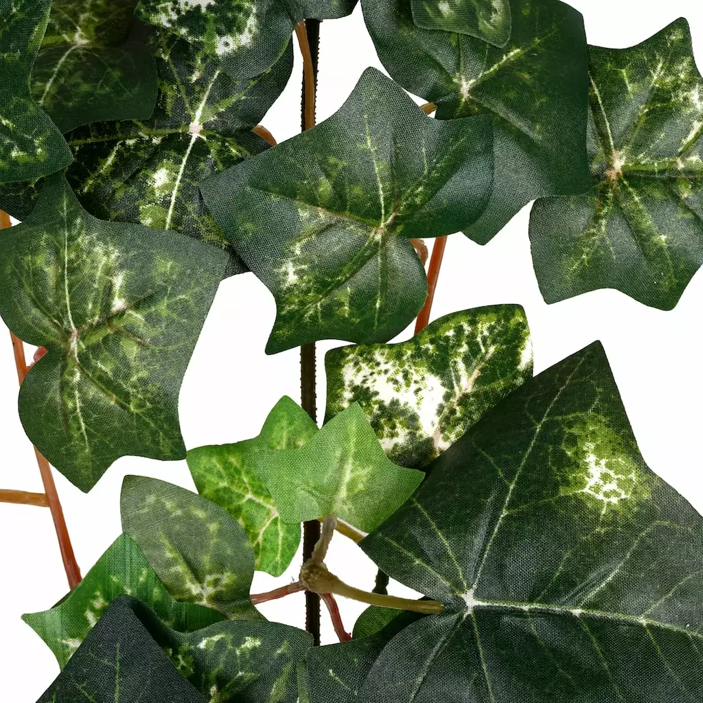 Discount 🛒 12 Pack: Green Silk Ivy Spray by Ashland® ⭐ 4 Discount 🛒 12 Pack: Green Silk Ivy Spray by Ashland® ⭐ - Image 2