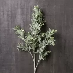 Cheap ✔️ Dusty Miller Stem by Ashland® ⌛ -Ashland Sale Store 10262981 22