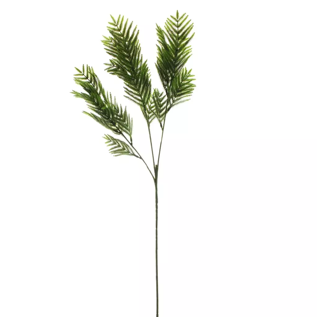 Top 10 ⭐ 12 Pack: Green Leather Fern Spray by Ashland® 🧨 3 Top 10 ⭐ 12 Pack: Green Leather Fern Spray by Ashland® 🧨