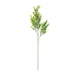 Cheap 💯 Sweet Grass Stem by Ashland® ✔️
