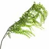 Best Pirce ⌛ 12 Pack: Green Weeping Fern Spray by Ashland® 😍 -Ashland Sale Store 10263117