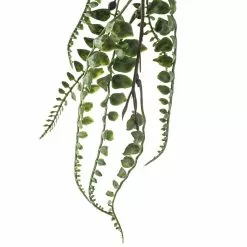 Cheap ⌛ Green Fern Leaf Stem Spray by Ashland® 🎁 7 Cheap ⌛ Green Fern Leaf Stem Spray by Ashland® 🎁 -Ashland Sale Store 10263708 20