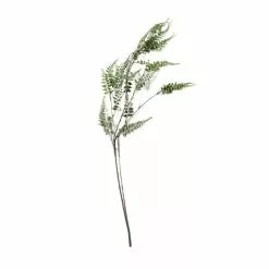 Cheap ⌛ Green Fern Leaf Stem Spray by Ashland® 🎁