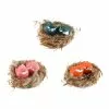 Best Sale ❤️ Assorted Bird in Nest by Ashland® ⌛ -Ashland Sale Store 10276375 1