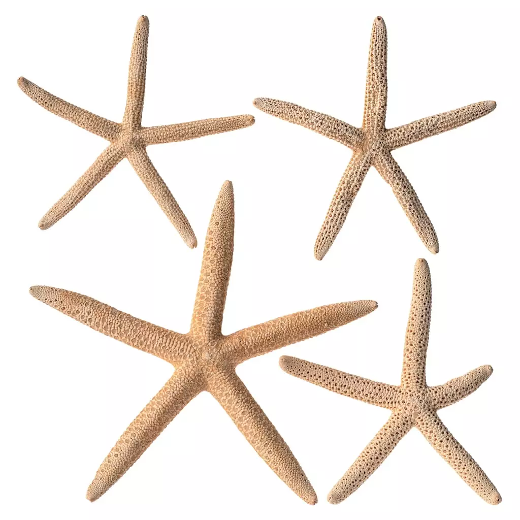 Hot Sale ⌛ Ashland™ Glitter Starfish 😀 3 Hot Sale ⌛ Ashland™ Glitter Starfish 😀
