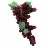 Wholesale 🛒 Large Purple Grapes by Ashland® 🔥 -Ashland Sale Store 10288610 1