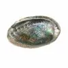 Wholesale ⭐ Blue Abalone Shell by Ashland® 😉 -Ashland Sale Store 10289973