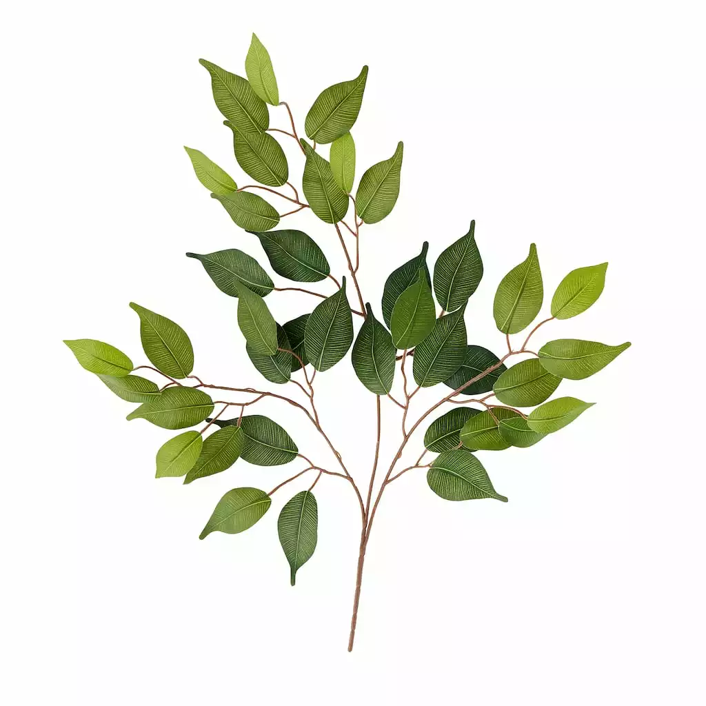Coupon 🤩 Ficus Spray Floral Essentials by Ashland® 😍 3 Coupon 🤩 Ficus Spray Floral Essentials by Ashland® 😍
