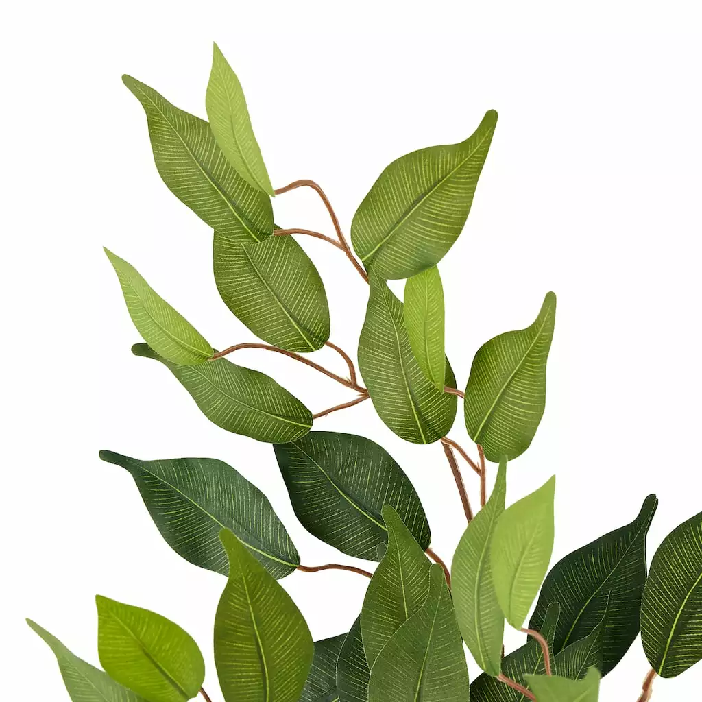 Coupon 🤩 Ficus Spray Floral Essentials by Ashland® 😍 5 Coupon 🤩 Ficus Spray Floral Essentials by Ashland® 😍 - Image 3
