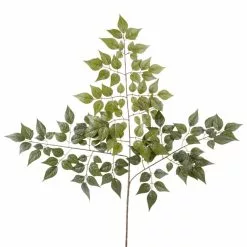 Brand new ❤️ China Dollar Spray Floral Essentials by Ashland® ⌛