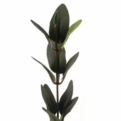 Flash Sale 👏 Huckleberry Leaf Spray by Ashland® ⭐ -Ashland Sale Store 10292555 20