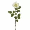 Best reviews of 🌟 16 Pack: Ivory Princess Rose Stem by Ashland® 😀 2 Best reviews of 🌟 16 Pack: Ivory Princess Rose Stem by Ashland® 😀 -Ashland Sale Store 10297096