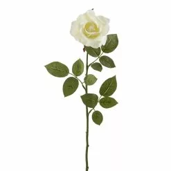 Best reviews of 🌟 16 Pack: Ivory Princess Rose Stem by Ashland® 😀