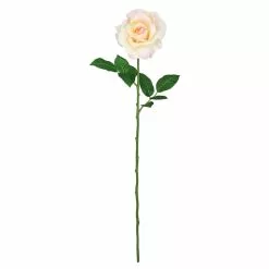 Best reviews of 😉 12 Pack: White Princess Rose Stem by Ashland® 🥰