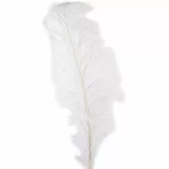 Budget 💯 12 Pack: Ivory Ostrich Feather by Ashland® ⭐