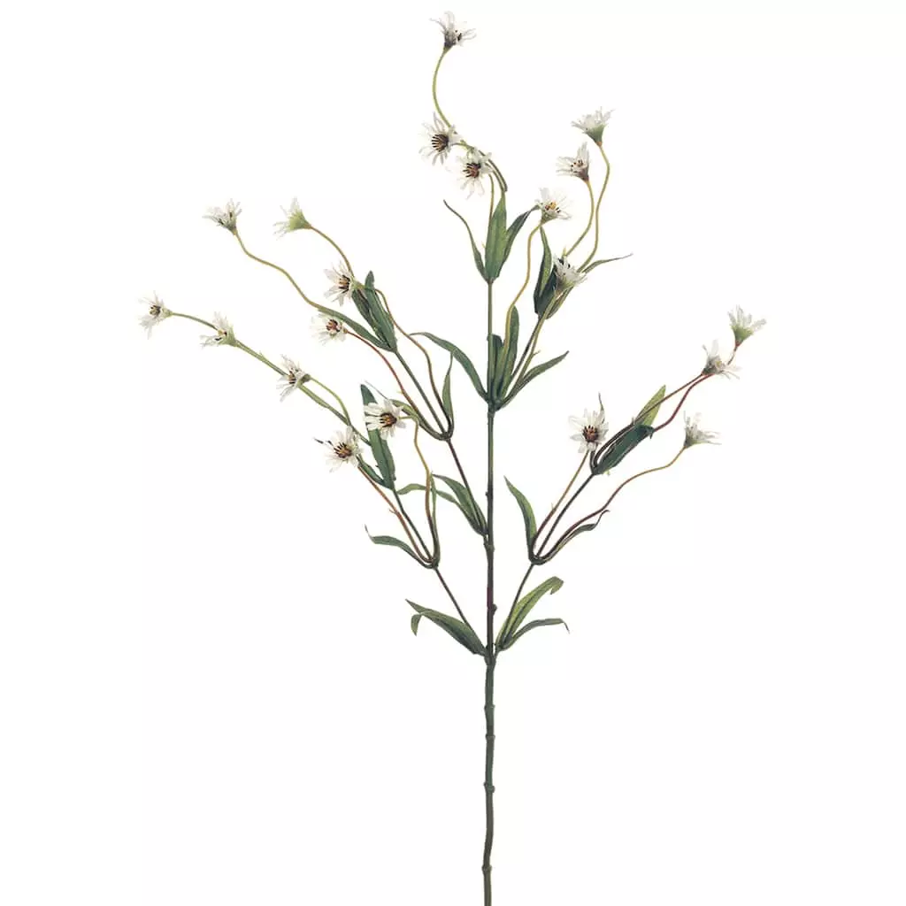 Top 10 ✔️ Wild Daisy Spray by Ashland® 👏 3 Top 10 ✔️ Wild Daisy Spray by Ashland® 👏