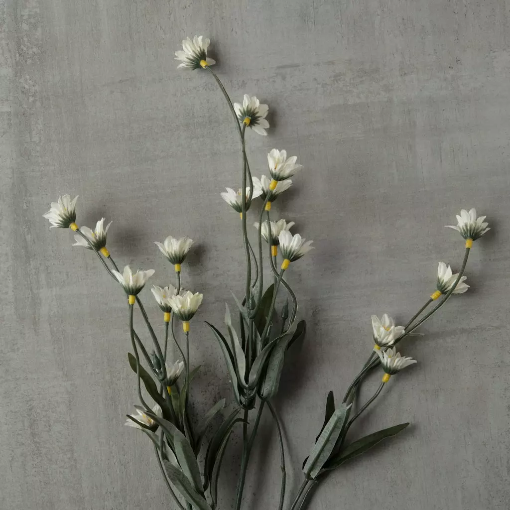 Top 10 ✔️ Wild Daisy Spray by Ashland® 👏 6 Top 10 ✔️ Wild Daisy Spray by Ashland® 👏 - Image 4