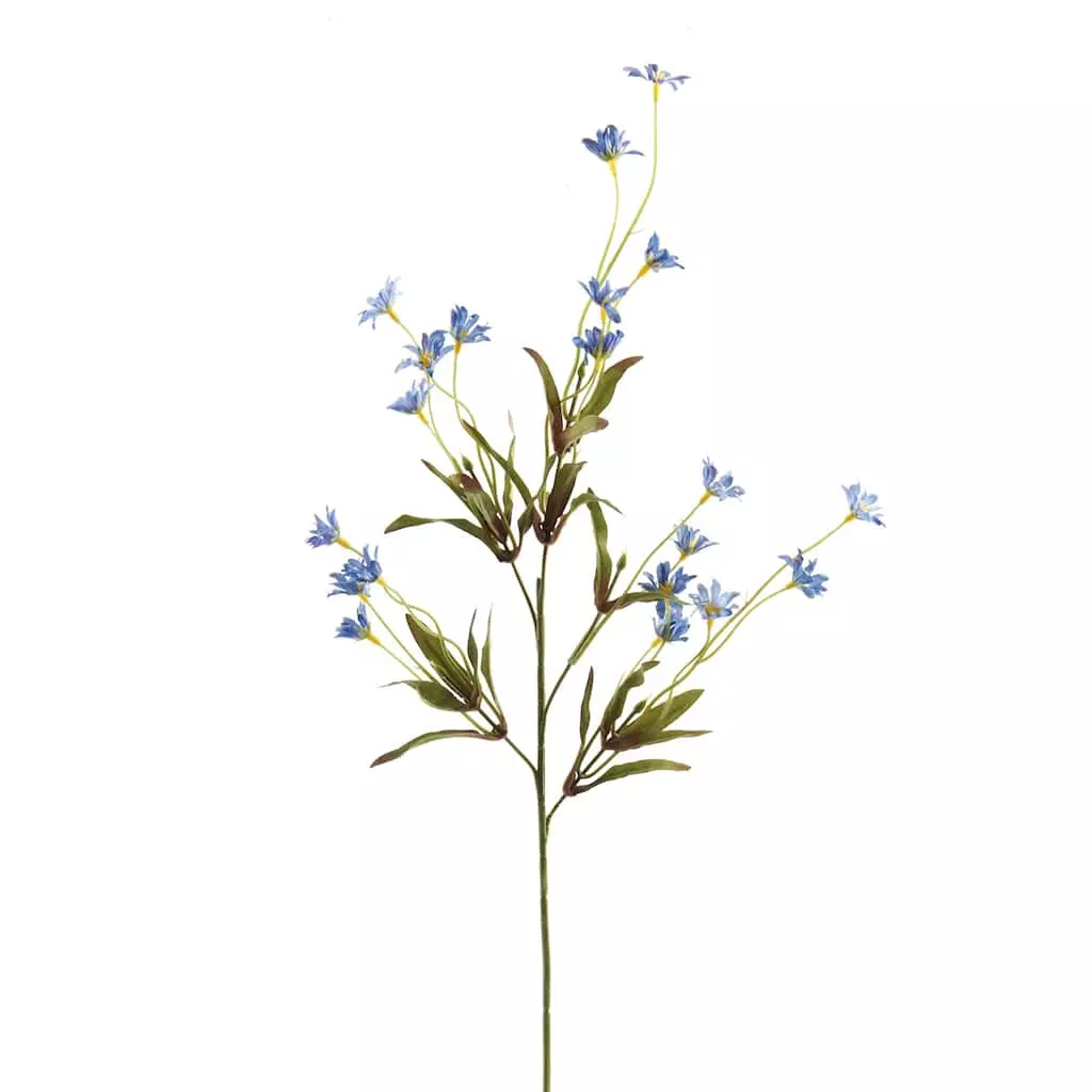 Budget ✔️ 24 Pack: Wild Daisy Spray by Ashland® ⌛ 3 Budget ✔️ 24 Pack: Wild Daisy Spray by Ashland® ⌛