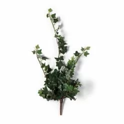 Flash Sale ⌛ Assorted Mini English Ivy Bush by Ashland® 🌟