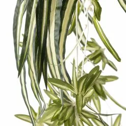 Buy ⌛ Variegated Spider Bush Classic Greenery Collection by Ashland® ✨ -Ashland Sale Store 10308650 20